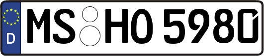 MS-HO5980
