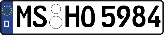 MS-HO5984