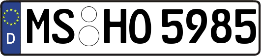 MS-HO5985