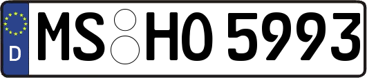 MS-HO5993