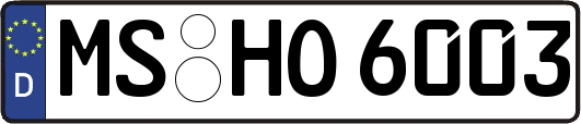 MS-HO6003