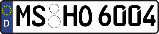 MS-HO6004