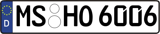 MS-HO6006