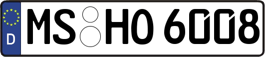 MS-HO6008