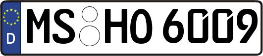 MS-HO6009