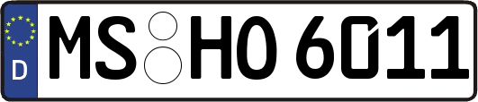 MS-HO6011