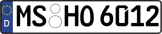MS-HO6012
