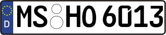 MS-HO6013