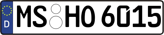 MS-HO6015
