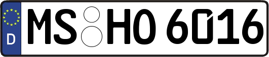 MS-HO6016