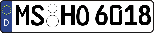 MS-HO6018