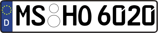 MS-HO6020