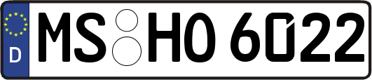 MS-HO6022