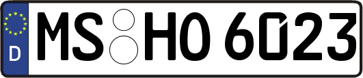 MS-HO6023
