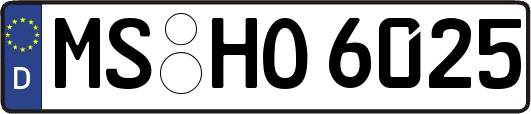 MS-HO6025