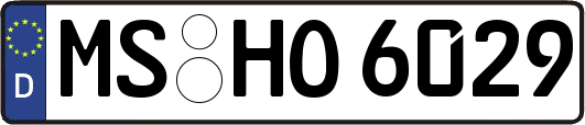 MS-HO6029