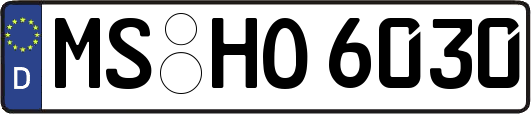 MS-HO6030