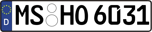 MS-HO6031