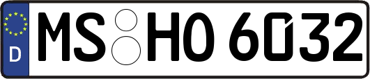 MS-HO6032