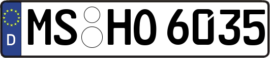 MS-HO6035