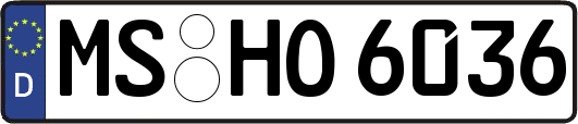 MS-HO6036
