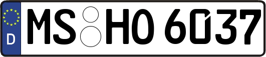 MS-HO6037