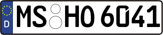 MS-HO6041