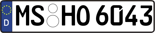 MS-HO6043