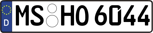 MS-HO6044
