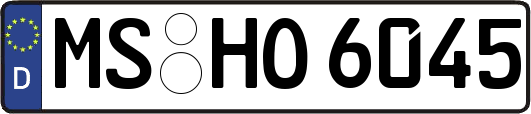 MS-HO6045