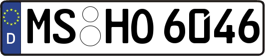 MS-HO6046
