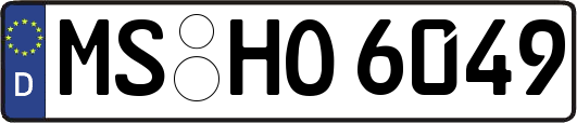 MS-HO6049