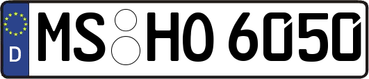 MS-HO6050