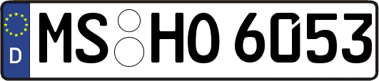 MS-HO6053