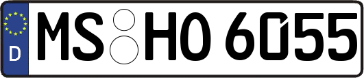 MS-HO6055