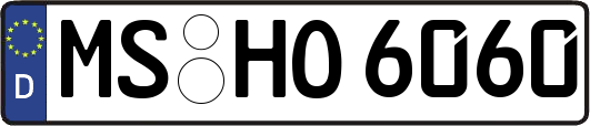 MS-HO6060
