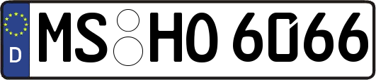 MS-HO6066