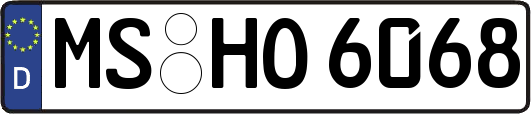 MS-HO6068