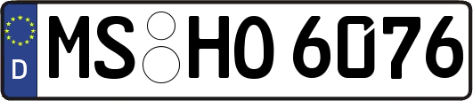 MS-HO6076