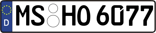 MS-HO6077