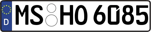 MS-HO6085
