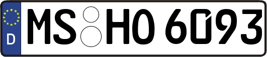 MS-HO6093