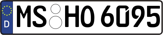 MS-HO6095