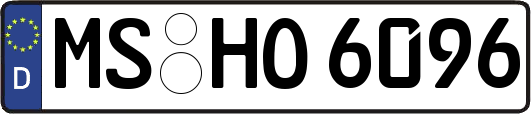 MS-HO6096
