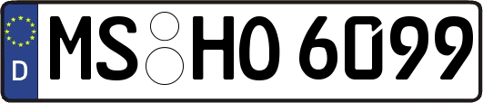 MS-HO6099