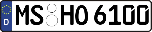 MS-HO6100