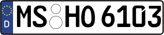 MS-HO6103