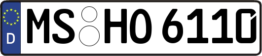 MS-HO6110