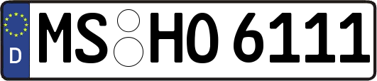 MS-HO6111