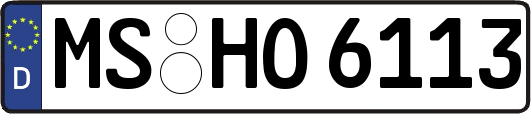MS-HO6113